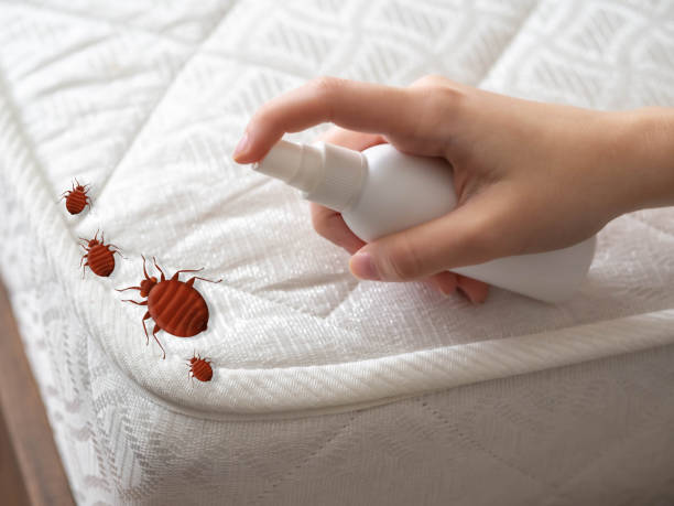 Best Emergency Pest Control  in Beecher, IL